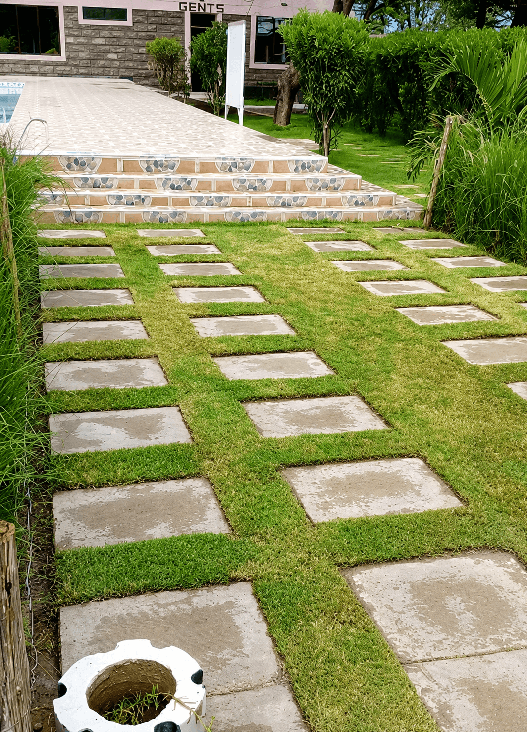 Freshly laid lawn