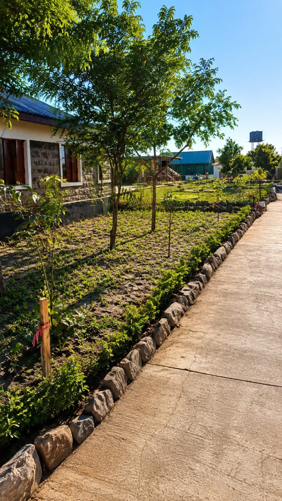 Flowering garden bed
