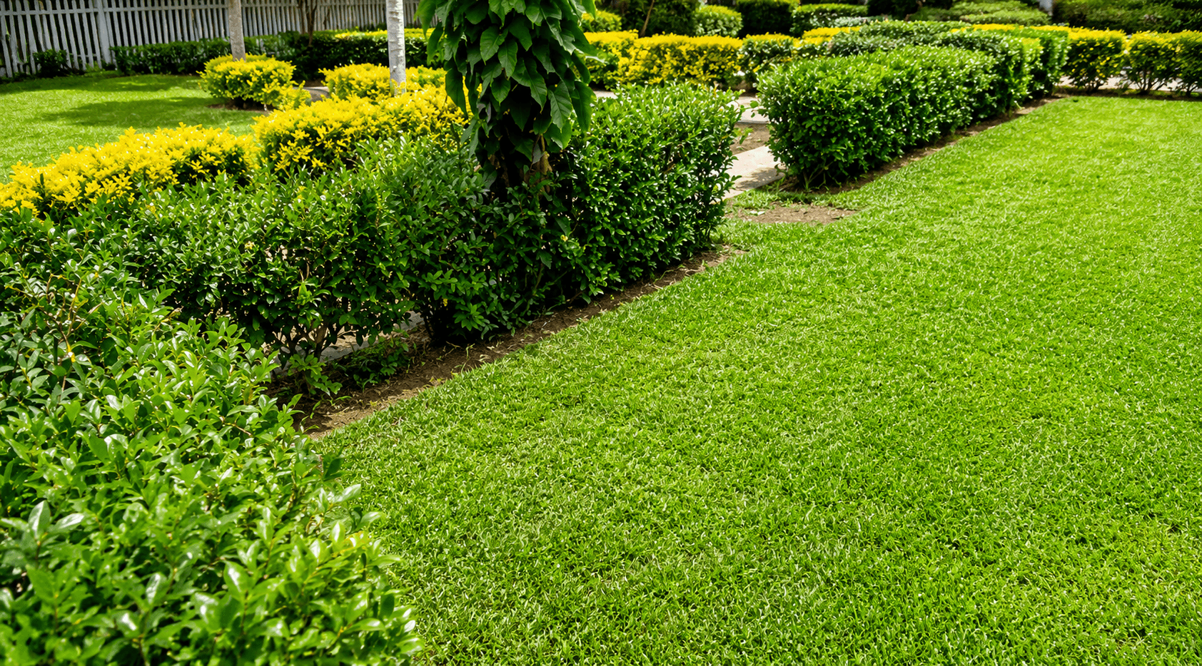 Garden Maintenance