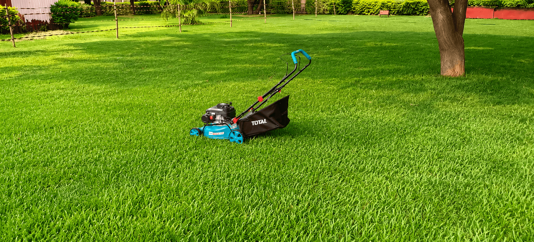 Lawn Mowing